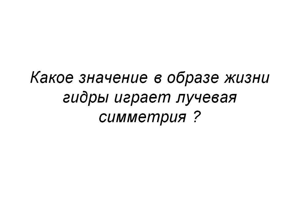 Не работает сайт блэкспрут